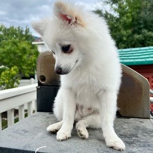 Meet your Posher, Laura